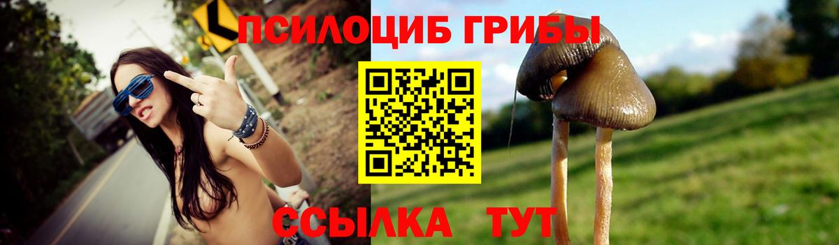 Галлюциногенные грибы Cubensis  Вход с VPN  Кизилюрт 